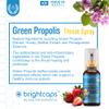 Bee Health Propolis | Brazilian Green Propolis, Honey & Mallow Throat Spray 30ml, Immune Support & Sore Throat Relief for Children 1 Year+ The only one with ARTEPILLIN-C - Pomegranate and Strawberry view 4