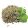 Brahmi Powder, Centella Asiatica Powder, 100% Vegetarian, For Hair Nourishment (200GM) view 2