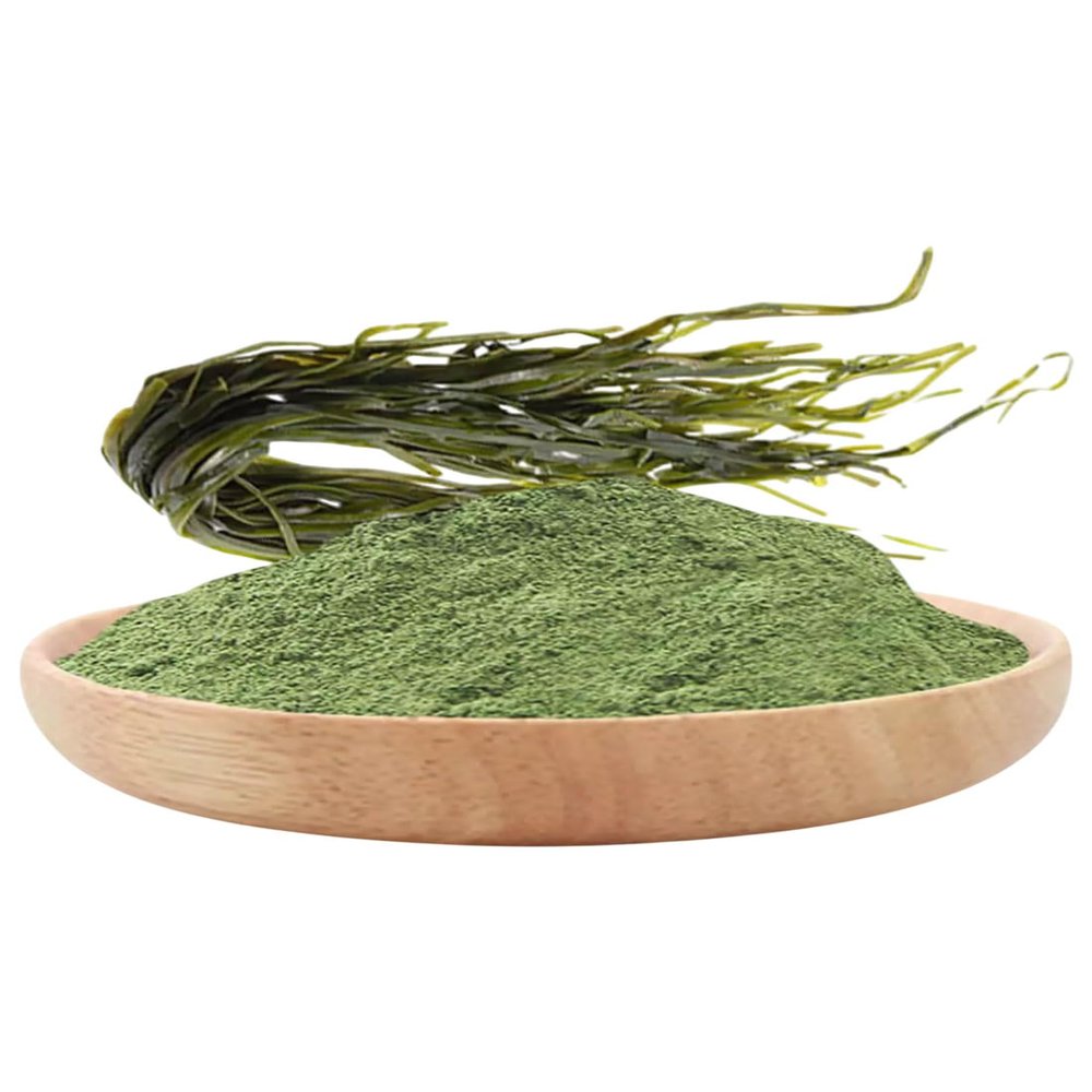 Kelp Powder Seaweed HerbsnSpiceit (50g)