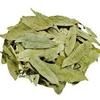 Senna Leaves - Sanay Leaves -Sanay Patti - Sonamukhi Patti - Sona Patta - Senna Patti - Sanaay - Svarnapatri - Indian Senna Leaves Dry - Senna Alexandrina (400GM) view 2