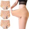 LBJDJYB 3 Pack Leak Proof Protective Panties, Leak Proof Menstrual Panties Physiological Pants for Women, Washable Reusable Absorbenct Urinary Incontinence Underwear view 1