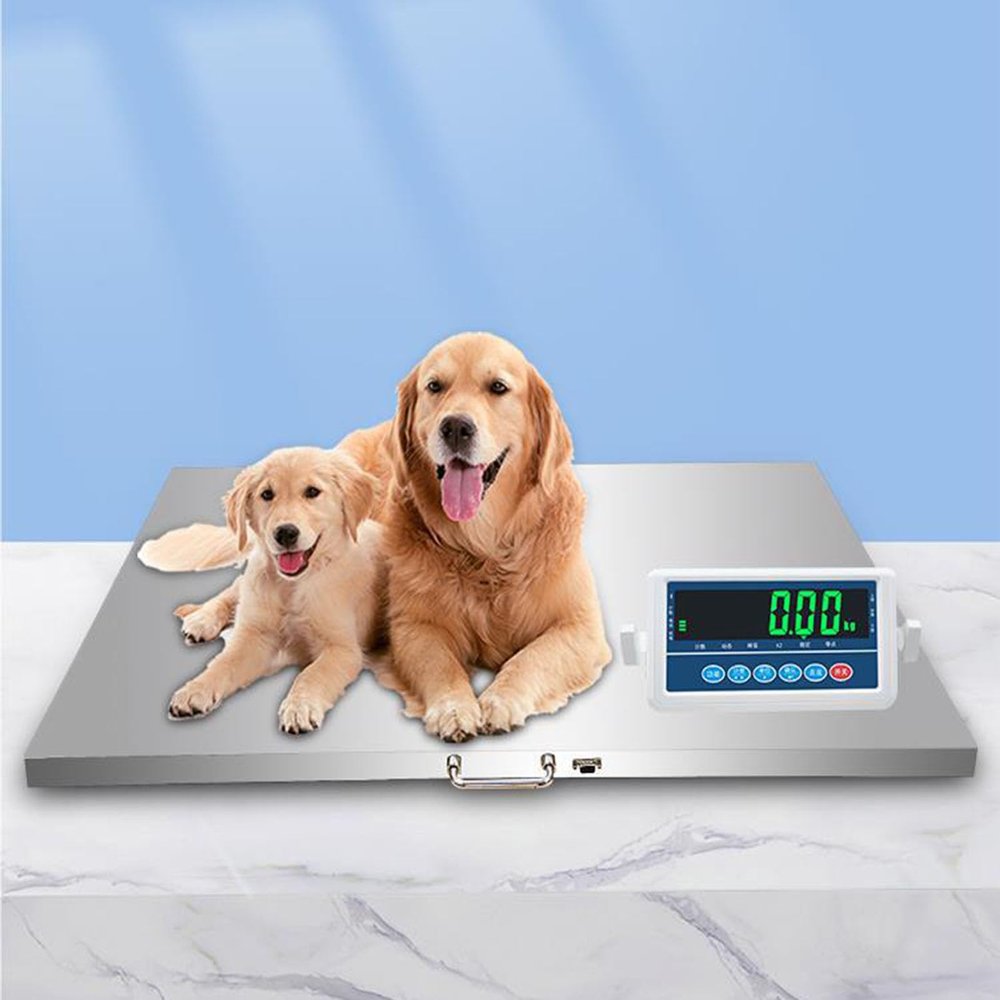 XNXYSMKJ 660LBS Large Platform Digital Floor Scale, Portable Vet Pet Scale, Stainless Steel Large Platform Livestock Vet Scale, Wireless Transmission (50 * 60cm)
