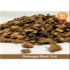 Galangal Dried Cut Root Loose Herb HerbsnSpiceit (50g) view 2