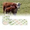 10Pcs Pet Vet Wrap Self Adhesive Tape Self Adhesive Cohesive Bandage Pet Self Adherent Bandages Tape for Sports Stretch Tape for Wrist Ankle (5cm) view 3