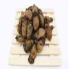 Dehydrated Sun-dried Dried Korean Oysters Hao Shi Free worldwide Airmail (500 grams) view 3