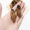 Dehydrated Sun-dried Dried Korean Oysters Hao Shi Free worldwide Airmail (500 grams) view 4
