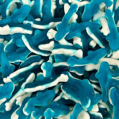 Blue Sharks Retail Sweet Shop Jar (Large) by The Gourmet Sweet Company
