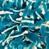 Blue Sharks Retail Sweet Shop Jar (Small) by The Gourmet Sweet Company view 1