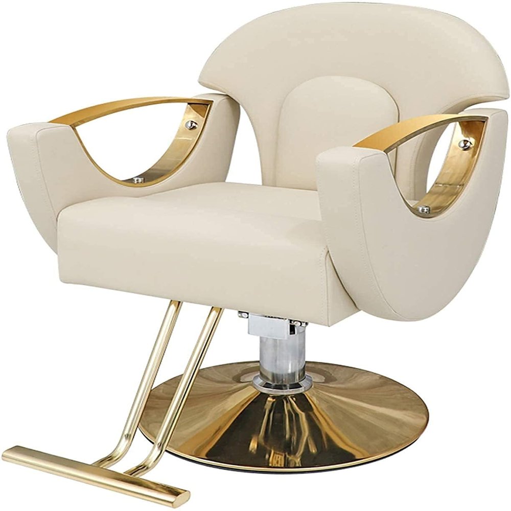 Professional Hydraulic Salon Chair for Business or Home Beauty Styling Swivel Barber Chair with Classic Design (420 lbs Capacity) Black and White Color Options Available