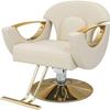Professional Hydraulic Salon Chair for Business or Home Beauty Styling Swivel Barber Chair with Classic Design (420 lbs Capacity) Black and White Color Options Available view 1