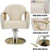 Professional Hydraulic Salon Chair for Business or Home Beauty Styling Swivel Barber Chair with Classic Design (420 lbs Capacity) Black and White Color Options Available view 4