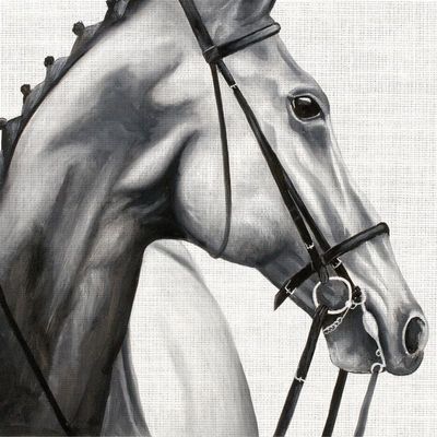20 Napkins Animals Beauty of the Horse as Table Decoration Paper Napkins with Motif Also for Decoupage and Decoupage 33 x 33 cm