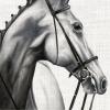 20 Napkins Animals Beauty of the Horse as Table Decoration Paper Napkins with Motif Also for Decoupage and Decoupage 33 x 33 cm view 1