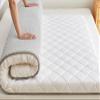 Single/Twin/Queen/King Size Japanese Futon Mattress Floor Sleeping Mat,Foldable Mattress Tatami Mat,Portable Sleeping Pad for Camping Dormitory (White,90x190cm) view 1