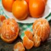 Fresh Mandarin Oranges, 1KG Box (1KG Box of Premium Mandarins) view 1