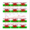12 x St David's Day Welsh Dragon STAND UP Edible Wafer or Icing Cupcake Toppers Wales Party Cake Decorations Perfect For Brownies Cookies Muffins & More! (Edible Wafer Card) view 2