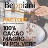 Beppiani Bitter Cocoa Powder - 1 kg - Professional Product - Packaged in Italy - Suitable for All Preparations view 2