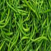 Fresh Indian Green Chilies I Farm Fresh I 500G view 2