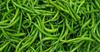 Fresh Indian Green Chilies I Farm Fresh I 1KG view 2