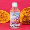 SATVIK Pure & Natural 100 ml Ganga Jal Water from Garh Ganga, Holy Unfiltered Gangajal for Pooja, Vastu, Purity, Spiritual Upliftment & Positivity view 3