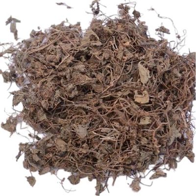 Bramhi - 100Grm - Bacopa - Dry Bhrami - Water Hyssop - Neerbrahmi - Bacopa Monnieri