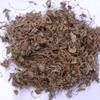 Bramhi - 100Grm - Bacopa - Dry Bhrami - Water Hyssop - Neerbrahmi - Bacopa Monnieri view 2