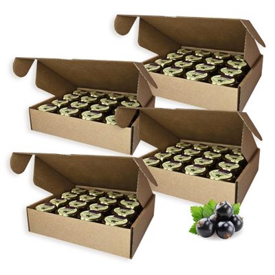 Earthbreath Raw Honey with Black Currant Pack of 64x 30g 100% Raw & Natural Fresh Black Currants No Artificial Additives
