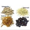 Shatavar, Safed Musli, Kaunch Beej & Ashwagandha 400 Grm Combo Pack [100 Grm Each] view 2