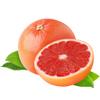 Fresh Grape Fruit I Premium Quality Citrus I Pack of 3 view 1