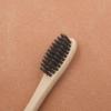 Bamboo Toothbrush with Charcoal Bristles - 100% Eco-Friendly and Biodegradable view 1