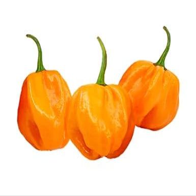 Fresh Yellow Scotch Bonnet Pepper I 200G