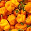 Fresh Yellow Scotch Bonnet Pepper I 200G view 2