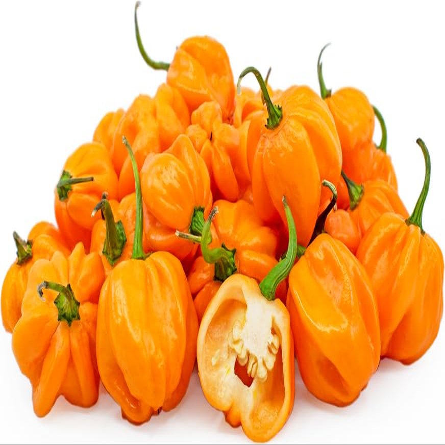 Fresh Yellow Scotch Bonnet Pepper I 1KG