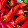 Fresh Red I Capia Peppers I Naturally Ripened I Maximum Flavor I Nutrients I Pack of 5 view 1
