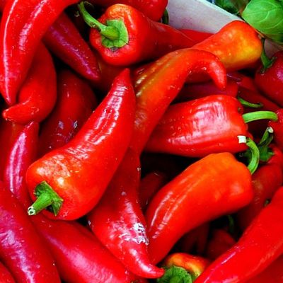 Fresh Red I Capia Peppers I Naturally Ripened I Maximum Flavor I Nutrients I Pack of 8