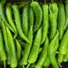 Fresh Organic I Sivri I Peppers I Farm I Grown I Mild I Flavorful I Pack of 12 view 3