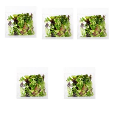 Fresh Crisp I Salad bags I Prewashed I Convenient and Nutritious I Pack of 5