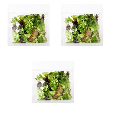 Fresh Crisp I Salad bags I Prewashed I Convenient and Nutritious I Pack of 3