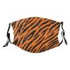 Reusable Cloth Face Mask,Tiger Stripes Animal Print Adult Washable Face Cover With Adjustable Earloops Nose Wire view 1