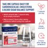 Sense of Life Dr. Probiotic Complex for Metabolic Health, 30 Capsules 20 Billion CFU 7 Probiotics Strains Supports Gut Health, Cholesterol & Blood Sugar Balance view 4