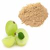 Amla Powder | Gooseberry | Dry Hog Plums (Naturally Grown) Premium Quality 25g-1900g (100g) view 2
