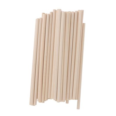 Craft Sticks DIY Supply 100pcs Wood Ice Cream Stick Set