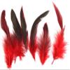Gammaeon 50Pcs Feather Nature Feather, Carnival Halloween Costume, Handicrafts, Craft Feathers, Painting and Handicrafts for Decoration view 2