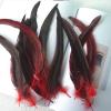 Gammaeon 50Pcs Feather Nature Feather, Carnival Halloween Costume, Handicrafts, Craft Feathers, Painting and Handicrafts for Decoration view 4