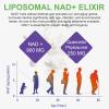 NAD+ Supplement Support Anti Aging and Improve Immunity 900mg NAD+ Resveratrol Supplement, NAD Supplements for Cellular Repair, Healthy Aging, NAD Softgels160 Capsule view 4