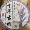 2016 Li Xing Purple Bud Raw Pu-erh Tea, 357g, from Yunnan view 2