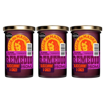 Agua de Madre Remedio Blackcurrant & Ginger Fermented Tea, 3 x 250ml Jars