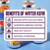 Agua de Madre Water Kefir (Lemon & Ginger) with Live Cultures, Gut Health Drink, Low Calorie, Vegan, No Artificial Sweeteners, 24 x 250ml Cans view 3