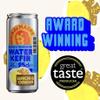 Agua de Madre Water Kefir (Lemon & Ginger) with Live Cultures, Gut Health Drink, Low Calorie, Vegan, No Artificial Sweeteners, 24 x 250ml Cans view 4