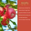 Katsy Style Pink Lady Apples 4 Pack | Naturally Sweet, Crisp & Juicy, Sun-Ripened for Maximum Flavor view 3